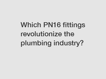 Which PN16 fittings revolutionize the plumbing industry?
