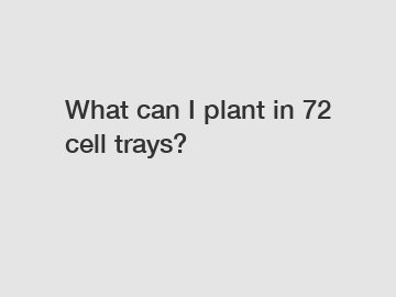 What can I plant in 72 cell trays?
