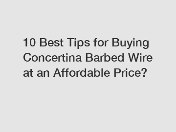 10 Best Tips for Buying Concertina Barbed Wire at an Affordable Price?