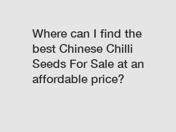 Where can I find the best Chinese Chilli Seeds For Sale at an affordable price?