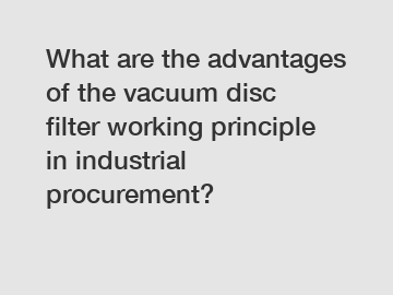 What are the advantages of the vacuum disc filter working principle in industrial procurement?
