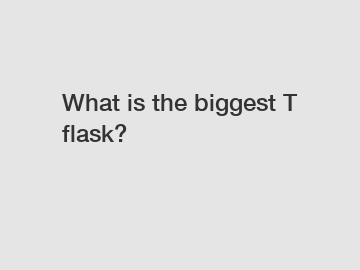 What is the biggest T flask?