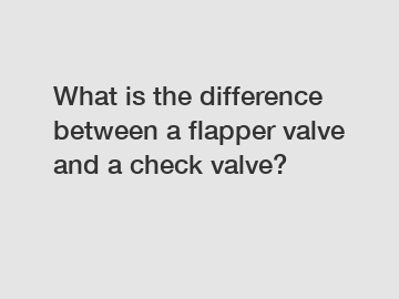 What is the difference between a flapper valve and a check valve?