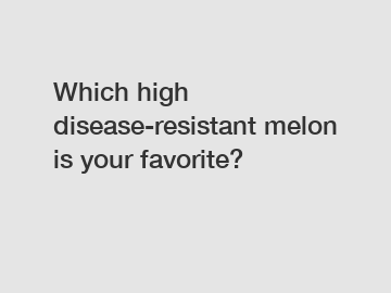 Which high disease-resistant melon is your favorite?