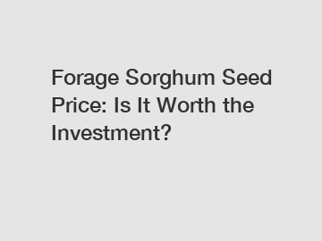 Forage Sorghum Seed Price: Is It Worth the Investment?