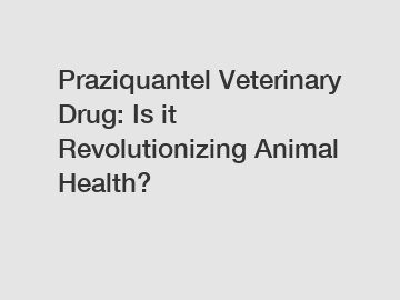 Praziquantel Veterinary Drug: Is it Revolutionizing Animal Health?