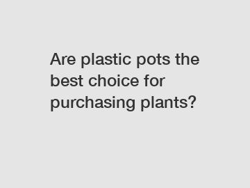 Are plastic pots the best choice for purchasing plants?