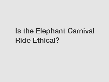 Is the Elephant Carnival Ride Ethical?