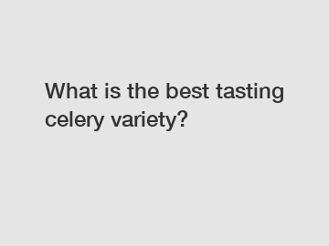 What is the best tasting celery variety?
