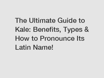 The Ultimate Guide to Kale: Benefits, Types & How to Pronounce Its Latin Name!
