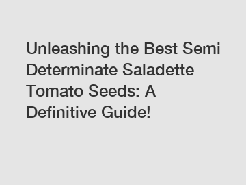 Unleashing the Best Semi Determinate Saladette Tomato Seeds: A Definitive Guide!