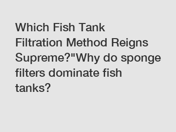 Which Fish Tank Filtration Method Reigns Supreme?