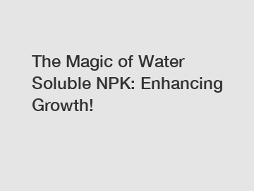 The Magic of Water Soluble NPK: Enhancing Growth!