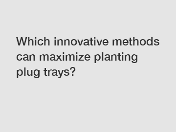 Which innovative methods can maximize planting plug trays?