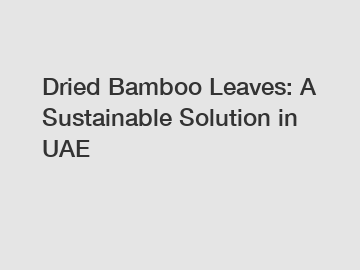 Dried Bamboo Leaves: A Sustainable Solution in UAE