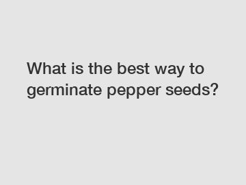 What is the best way to germinate pepper seeds?