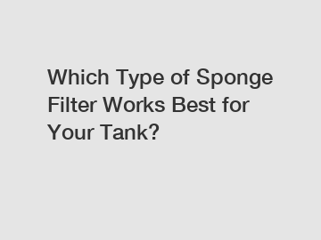 Which Type of Sponge Filter Works Best for Your Tank?