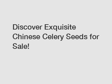 Discover Exquisite Chinese Celery Seeds for Sale!