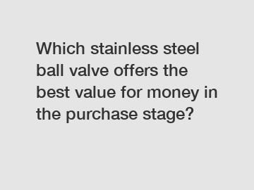 Which stainless steel ball valve offers the best value for money in the purchase stage?
