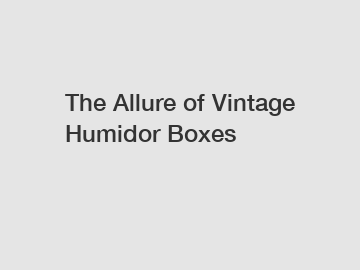 The Allure of Vintage Humidor Boxes