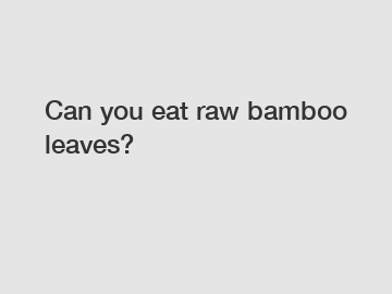 Can you eat raw bamboo leaves?