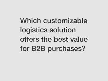 Which customizable logistics solution offers the best value for B2B purchases?