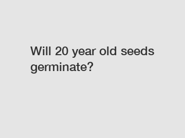 Will 20 year old seeds germinate?