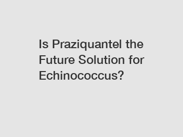 Is Praziquantel the Future Solution for Echinococcus?