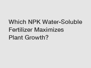Which NPK Water-Soluble Fertilizer Maximizes Plant Growth?