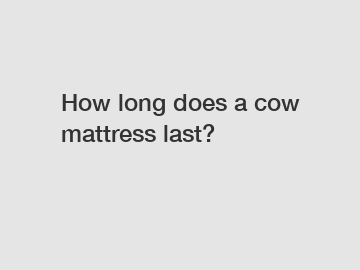 How long does a cow mattress last?