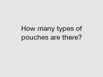How many types of pouches are there?