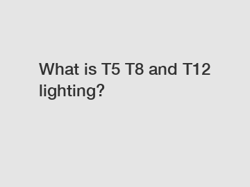 What is T5 T8 and T12 lighting?