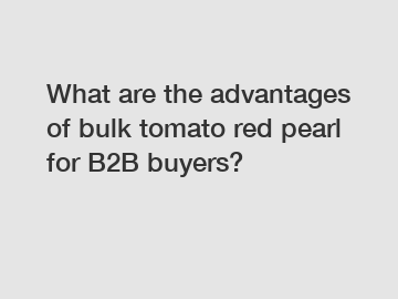 What are the advantages of bulk tomato red pearl for B2B buyers?