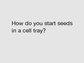 How do you start seeds in a cell tray?