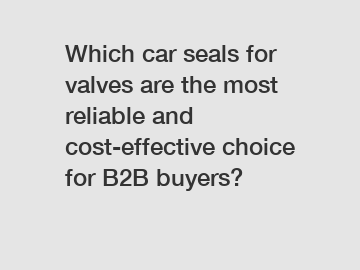 Which car seals for valves are the most reliable and cost-effective choice for B2B buyers?