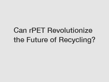 Can rPET Revolutionize the Future of Recycling?