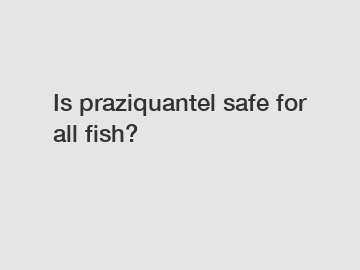 Is praziquantel safe for all fish?