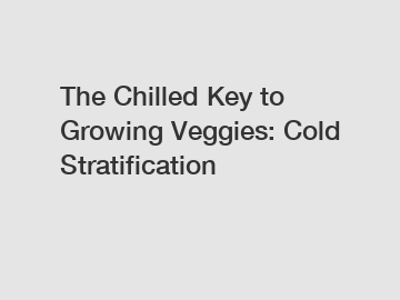 The Chilled Key to Growing Veggies: Cold Stratification