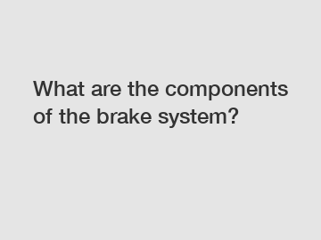 What are the components of the brake system?