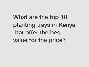 What are the top 10 planting trays in Kenya that offer the best value for the price?