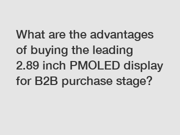 What are the advantages of buying the leading 2.89 inch PMOLED display for B2B purchase stage?