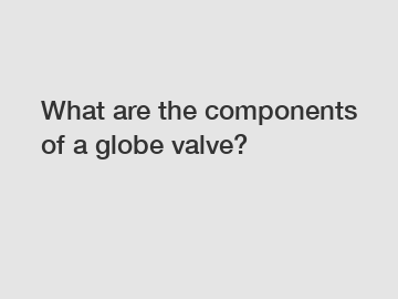 What are the components of a globe valve?