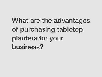 What are the advantages of purchasing tabletop planters for your business?