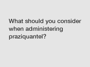 What should you consider when administering praziquantel?