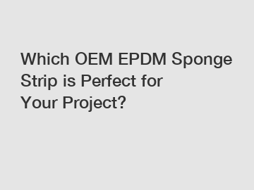Which OEM EPDM Sponge Strip is Perfect for Your Project?