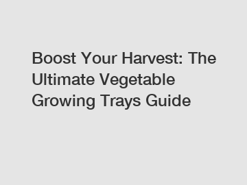 Boost Your Harvest: The Ultimate Vegetable Growing Trays Guide