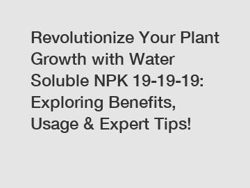 Revolutionize Your Plant Growth with Water Soluble NPK 19-19-19: Exploring Benefits, Usage & Expert Tips!