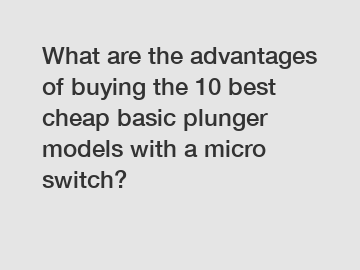 What are the advantages of buying the 10 best cheap basic plunger models with a micro switch?