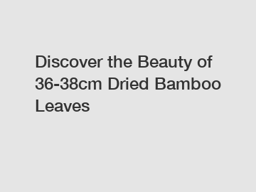 Discover the Beauty of 36-38cm Dried Bamboo Leaves