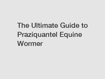 The Ultimate Guide to Praziquantel Equine Wormer